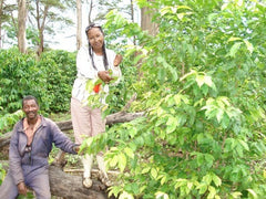 Ethiopia's only female coffee mill owner, Asnakech Thomas