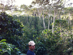 Nicaragua, El Limoncillo, Red Pacamara