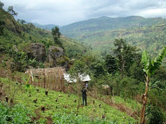 Uganda Sebei, Kapchowra Farmers Group: Buginyanya Farmers Group