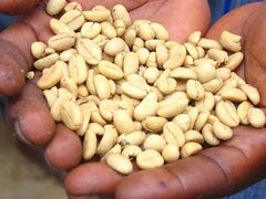 Uganda Bugisu: Buginyanya Farmers Group